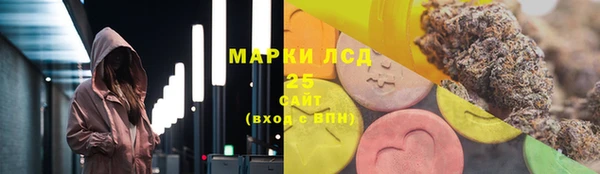ГАЛЛЮЦИНОГЕННЫЕ ГРИБЫ Магадан