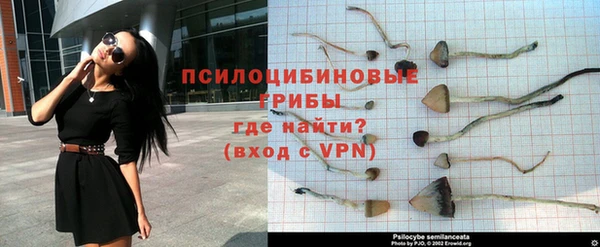 кокаин колумбия Магас
