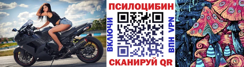Галлюциногенные грибы Psilocybe  Северобайкальск 