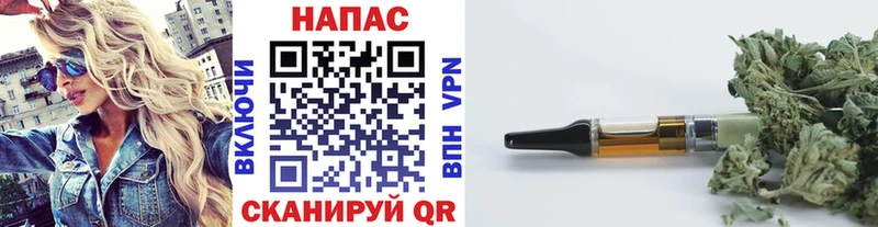 Шишки марихуана планчик  купить наркоту  Северобайкальск 